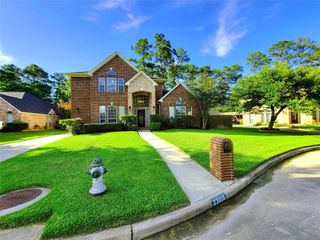 23006 Ammick Court, Spring, TX 77389