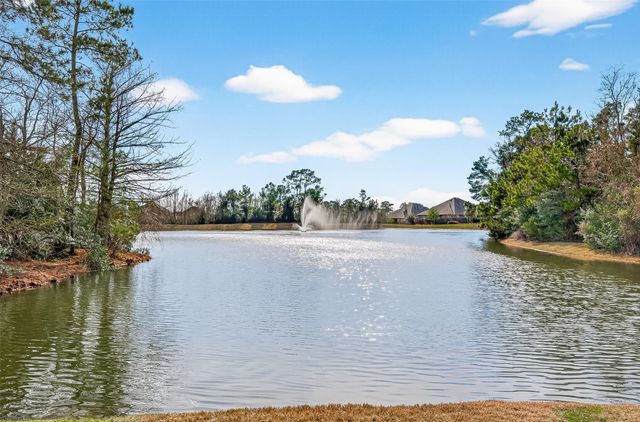 6014 Henry Hamlet Drive, Conroe, TX 77304