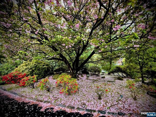 46 Overlook Road, Alpine, NJ 07620