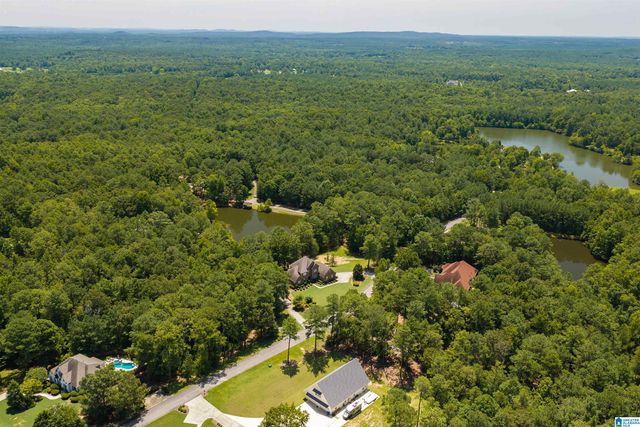 87 BONNIE BLUE LANE, Chelsea, AL 35051