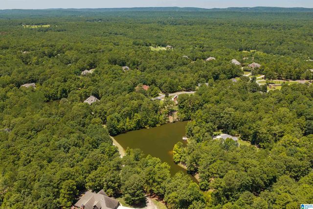 87 BONNIE BLUE LANE, Chelsea, AL 35051