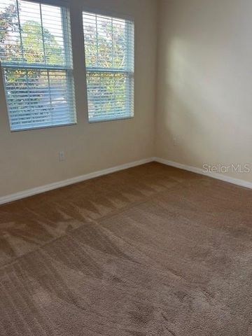 14422 DESERT HAVEN STREET 4206, Windermere, FL 34786