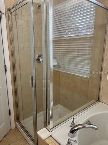 14422 DESERT HAVEN STREET 4206, Windermere, FL 34786