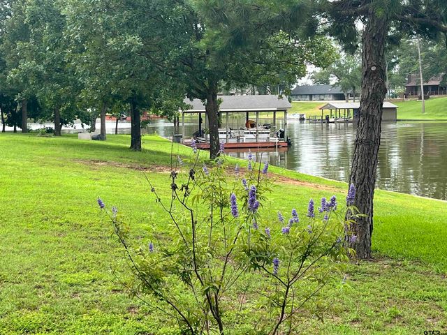 132 CR 2933, Pittsburg, TX 75686