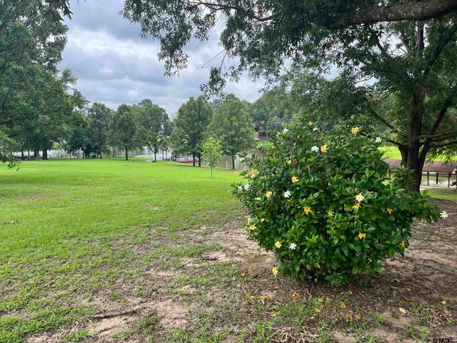 132 CR 2933, Pittsburg, TX 75686