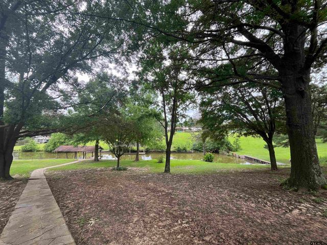 132 CR 2933, Pittsburg, TX 75686