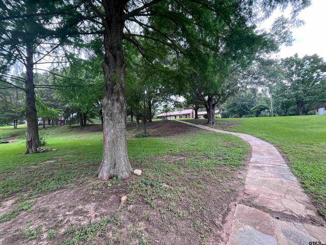 132 CR 2933, Pittsburg, TX 75686