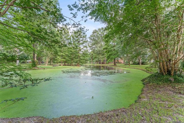 447 Sandy Springs Ln, Jackson, LA 70748