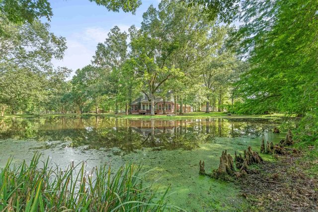 447 Sandy Springs Ln, Jackson, LA 70748