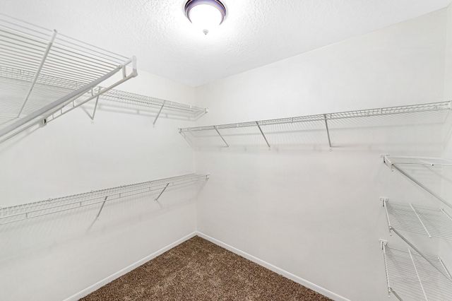 19807 Byron Meadows Drive, Katy, TX 77449