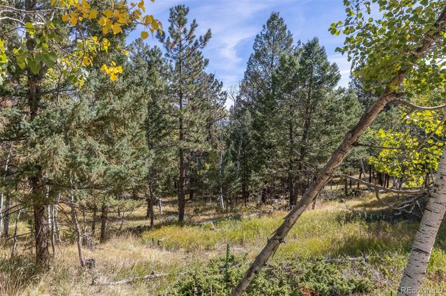 1845 Burland Drive, Bailey, CO 80421