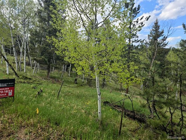 1845 Burland Drive, Bailey, CO 80421