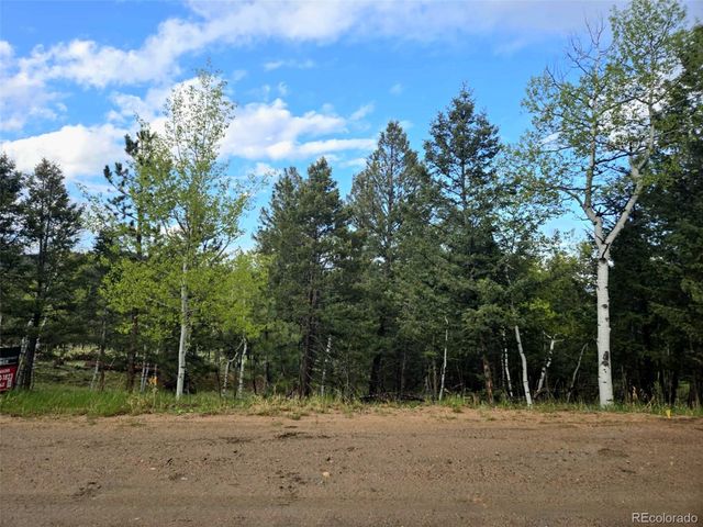 1845 Burland Drive, Bailey, CO 80421