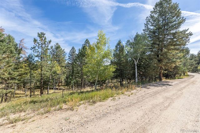 1845 Burland Drive, Bailey, CO 80421
