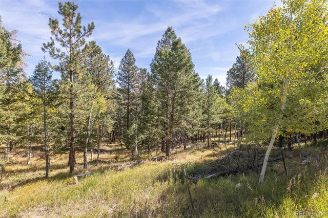 1845 Burland Drive, Bailey, CO 80421