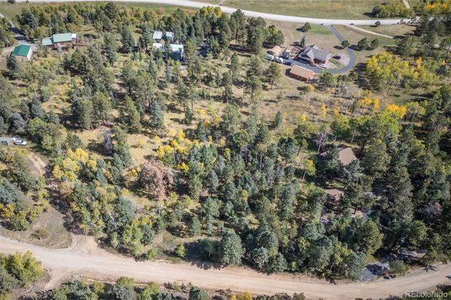 1845 Burland Drive, Bailey, CO 80421