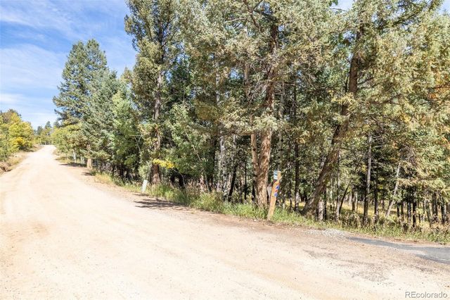 1845 Burland Drive, Bailey, CO 80421
