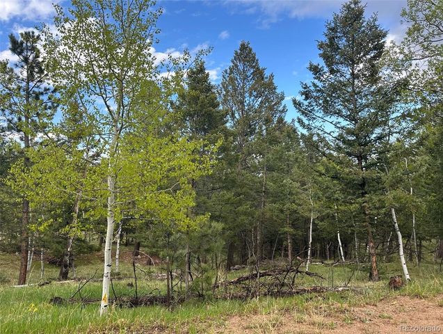 1845 Burland Drive, Bailey, CO 80421