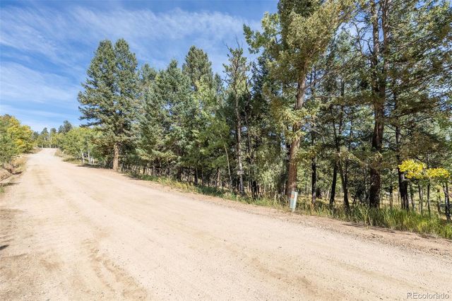 1845 Burland Drive, Bailey, CO 80421