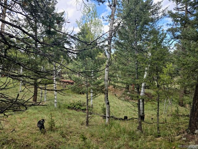 1845 Burland Drive, Bailey, CO 80421