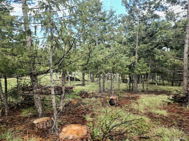 1845 Burland Drive, Bailey, CO 80421