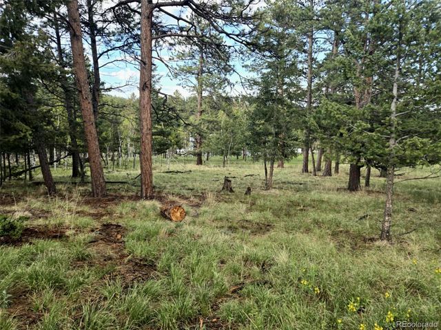 1845 Burland Drive, Bailey, CO 80421