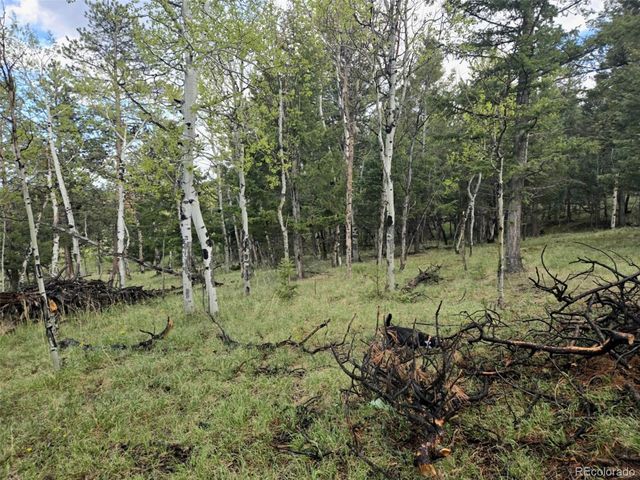 1845 Burland Drive, Bailey, CO 80421