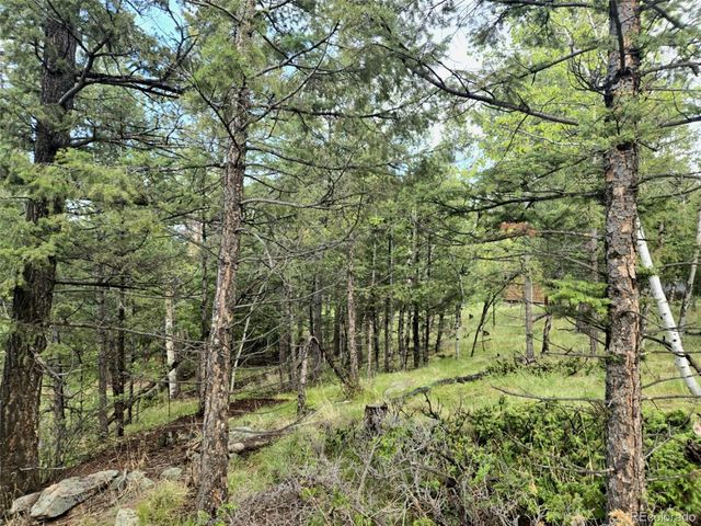 1845 Burland Drive, Bailey, CO 80421