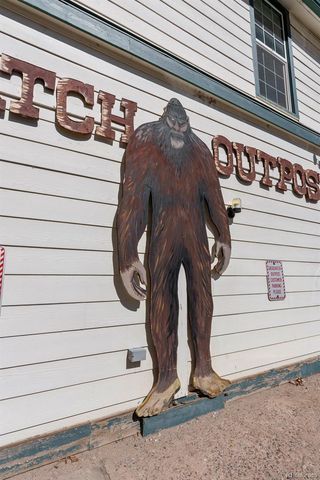 1845 Burland Drive, Bailey, CO 80421