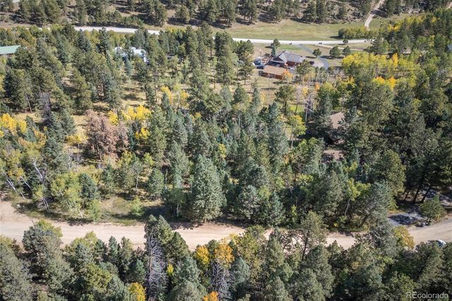 1845 Burland Drive, Bailey, CO 80421