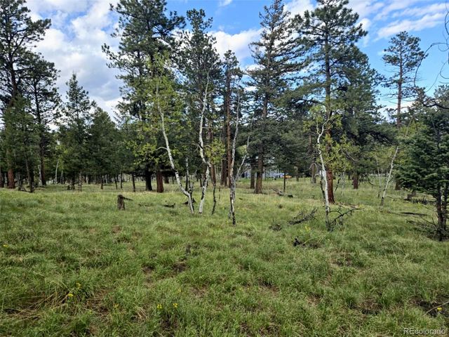 1845 Burland Drive, Bailey, CO 80421