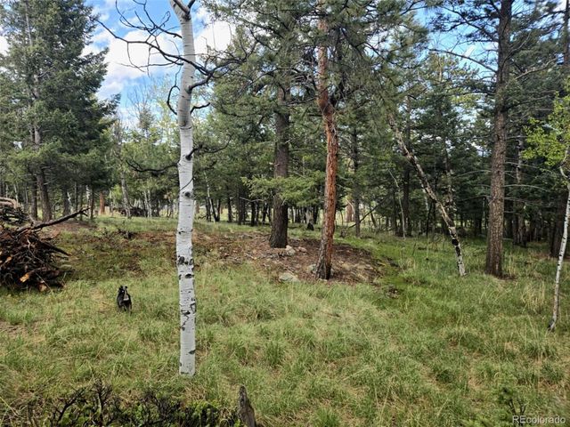 1845 Burland Drive, Bailey, CO 80421