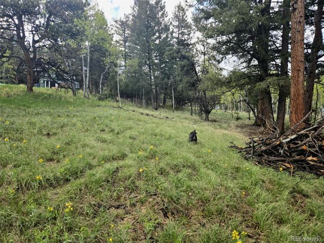 1845 Burland Drive, Bailey, CO 80421