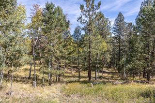 1845 Burland Drive, Bailey, CO 80421