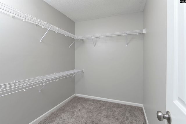 205 E Hampton Way, Columbia, SC 29229