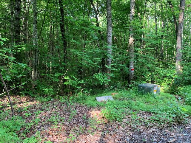 Lot 57 Rainy Farm Road, Murphy, NC 28906