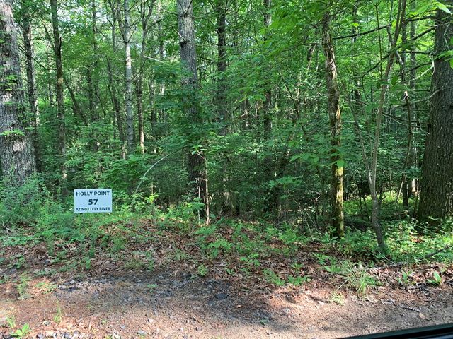 Lot 57 Rainy Farm Road, Murphy, NC 28906