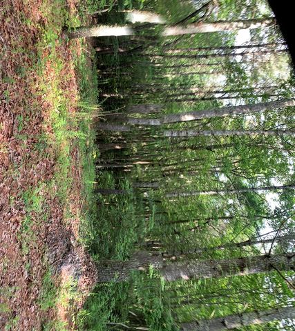 Lot 57 Rainy Farm Road, Murphy, NC 28906