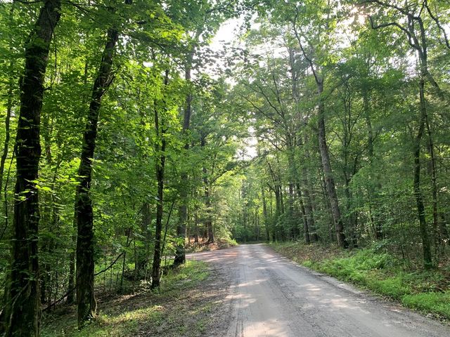Lot 57 Rainy Farm Road, Murphy, NC 28906