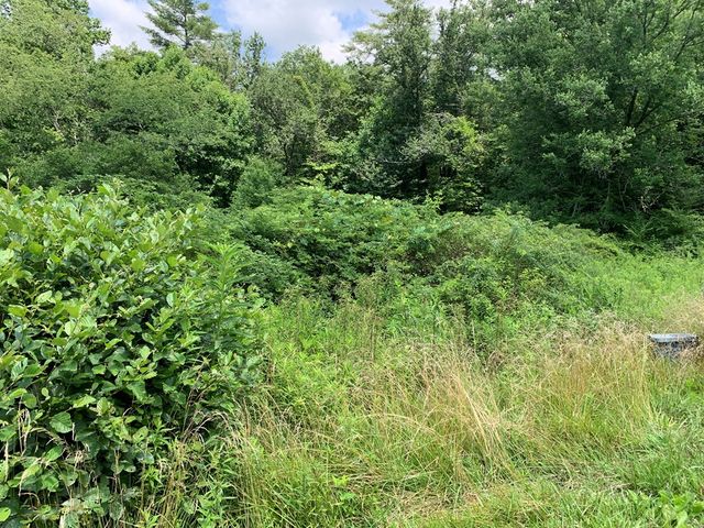 Lot 57 Rainy Farm Road, Murphy, NC 28906