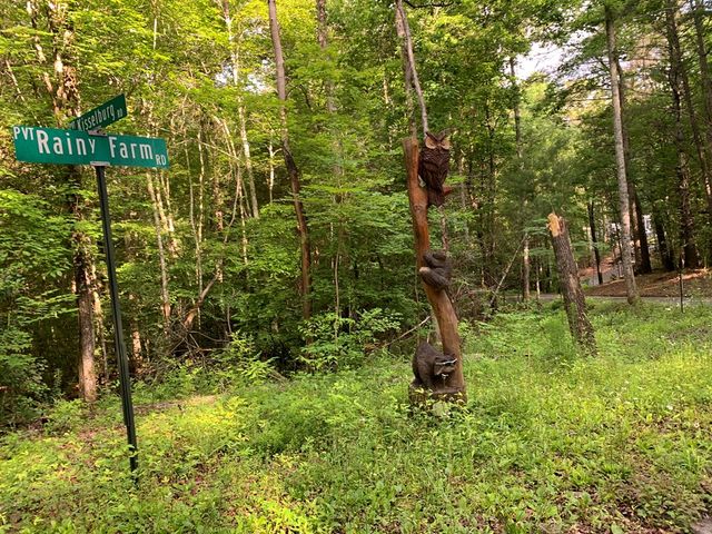 Lot 57 Rainy Farm Road, Murphy, NC 28906
