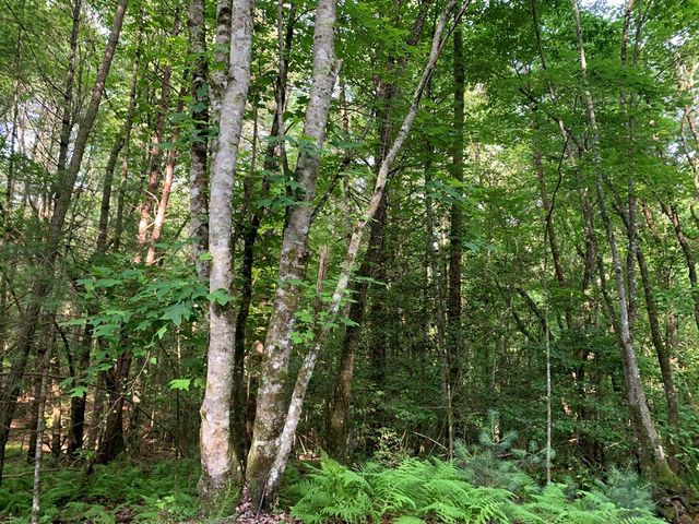 Lot 57 Rainy Farm Road, Murphy, NC 28906