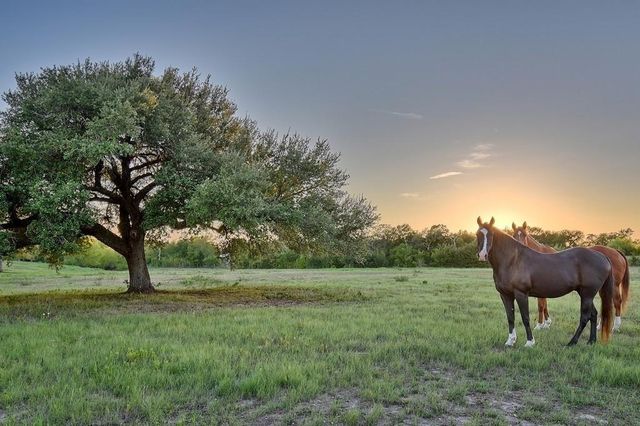 8456 Schuster Road, Ledbetter, TX 78946