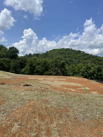 157 Berry Hunter Lane, Franklin, TN 37067