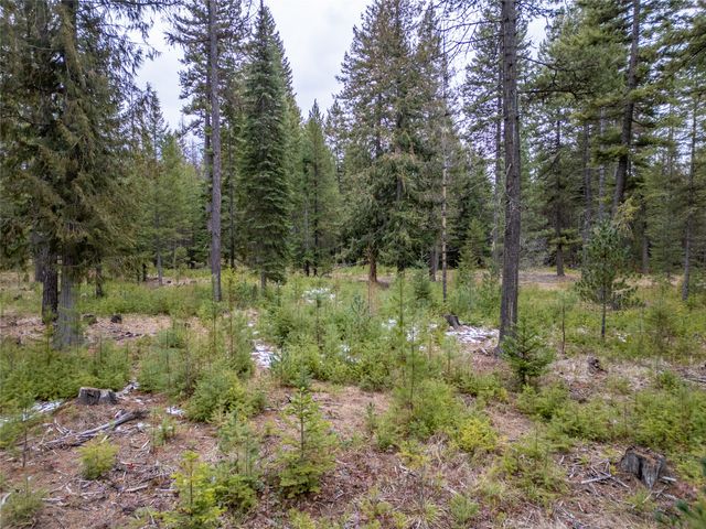 TBD Forest Road, Troy, MT 59935