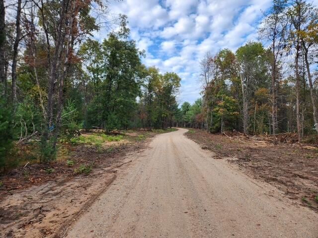 Parcel I Tatanka Trail, Baldwin, MI 49304