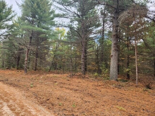 Parcel I Tatanka Trail, Baldwin, MI 49304