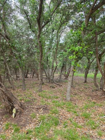 1061 Cielo Springs Dr, Blanco, TX 78606