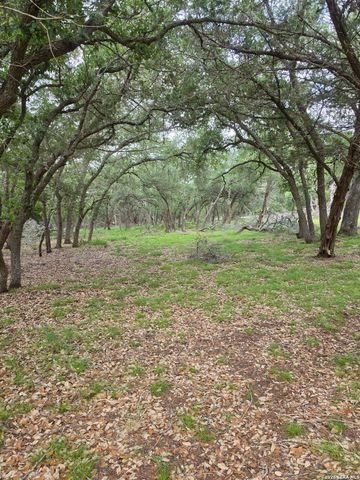 1061 Cielo Springs Dr, Blanco, TX 78606