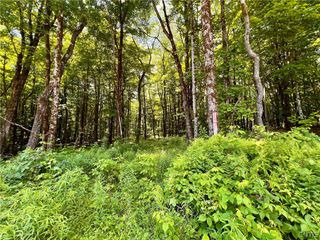 17 Cassio Road, Redfield, NY 13493